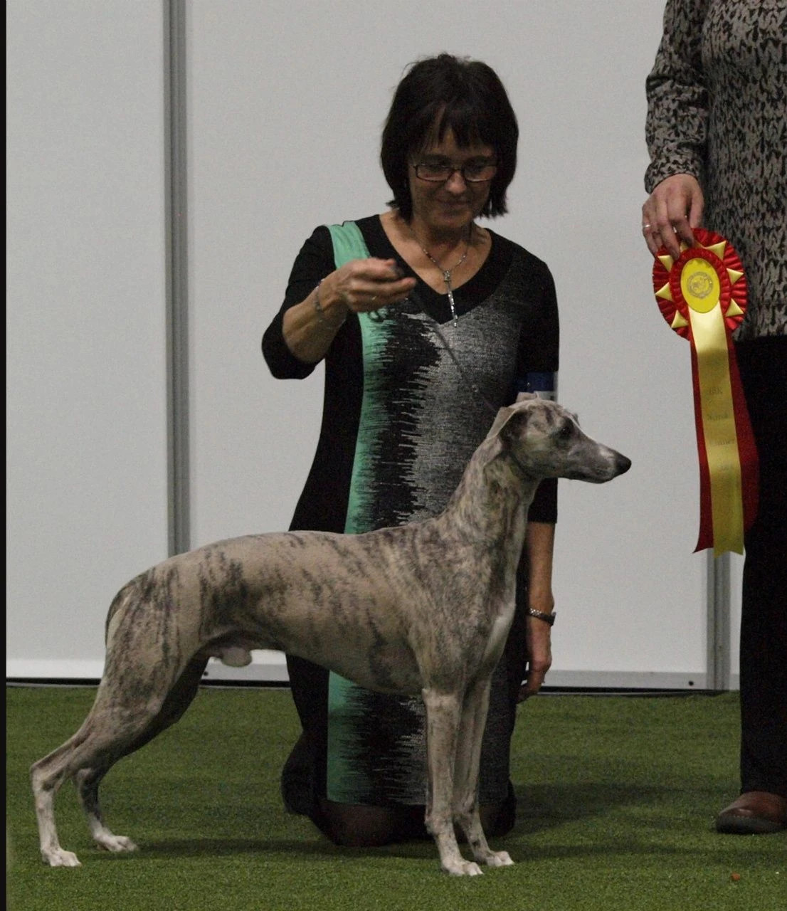 Fender BOB at Norwegian Winner Show 2014 over 100 entries. Judge Viv Coulter. Fender Best i Rasen på norsk Vinnerutstilling 2014. Photo Randi Juliussen